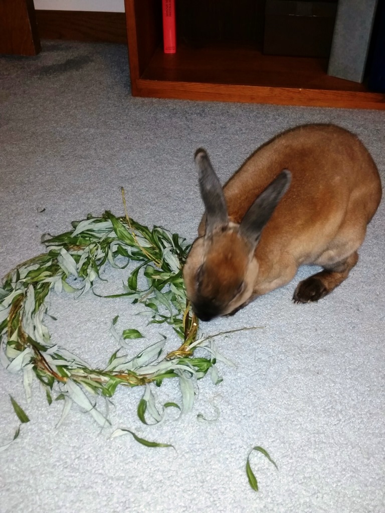 Enjoying a yummy willow wreath