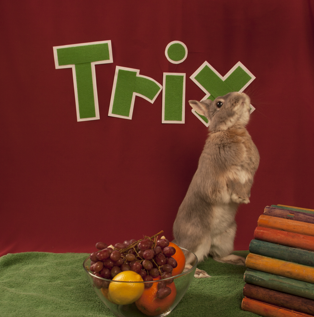 Did someone ask the real Trix rabbit to please stand up?