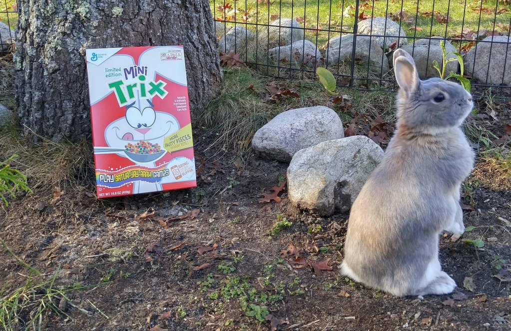 I don't think anyone is looking....This box of Trix is mine!